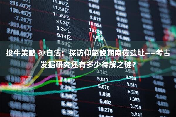 投牛策略 孙自法：探访仰韶晚期南佐遗址——考古发掘研究还有多少待解之谜？