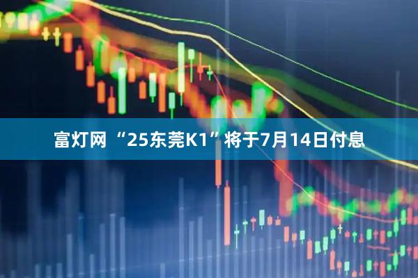 富灯网 “25东莞K1”将于7月14日付息